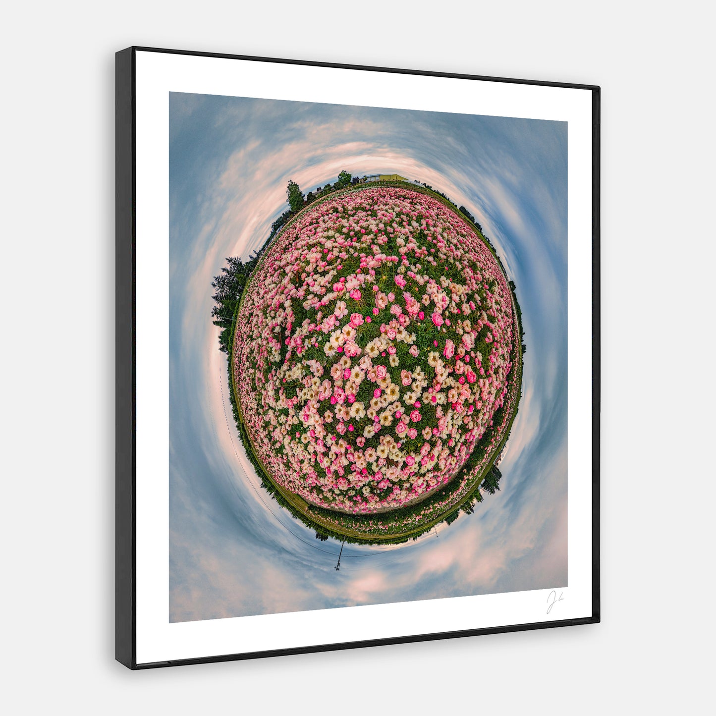 Adelman Peony Gardens (2024) - Signed Print
