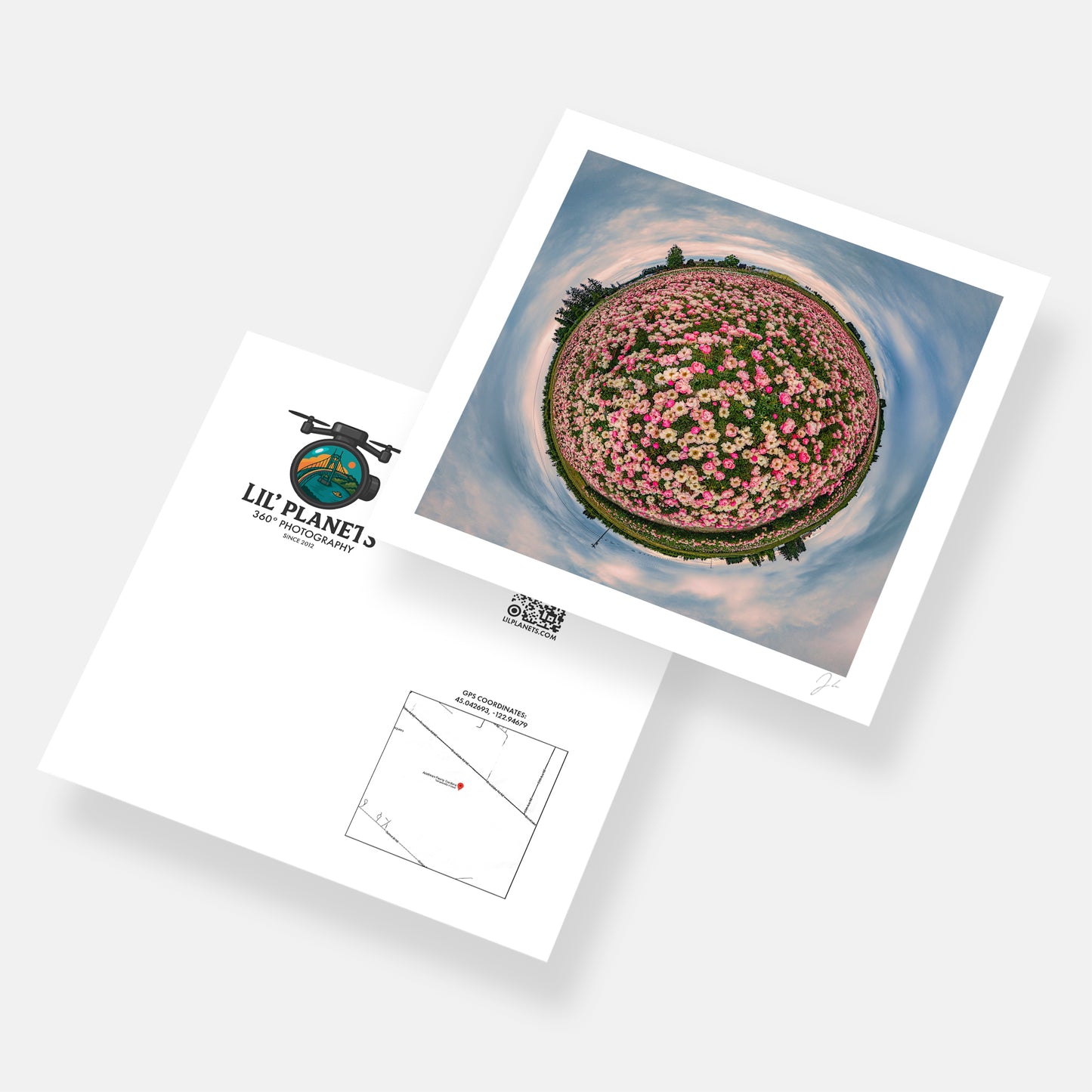 Adelman Peony Gardens (2024) - Signed Print