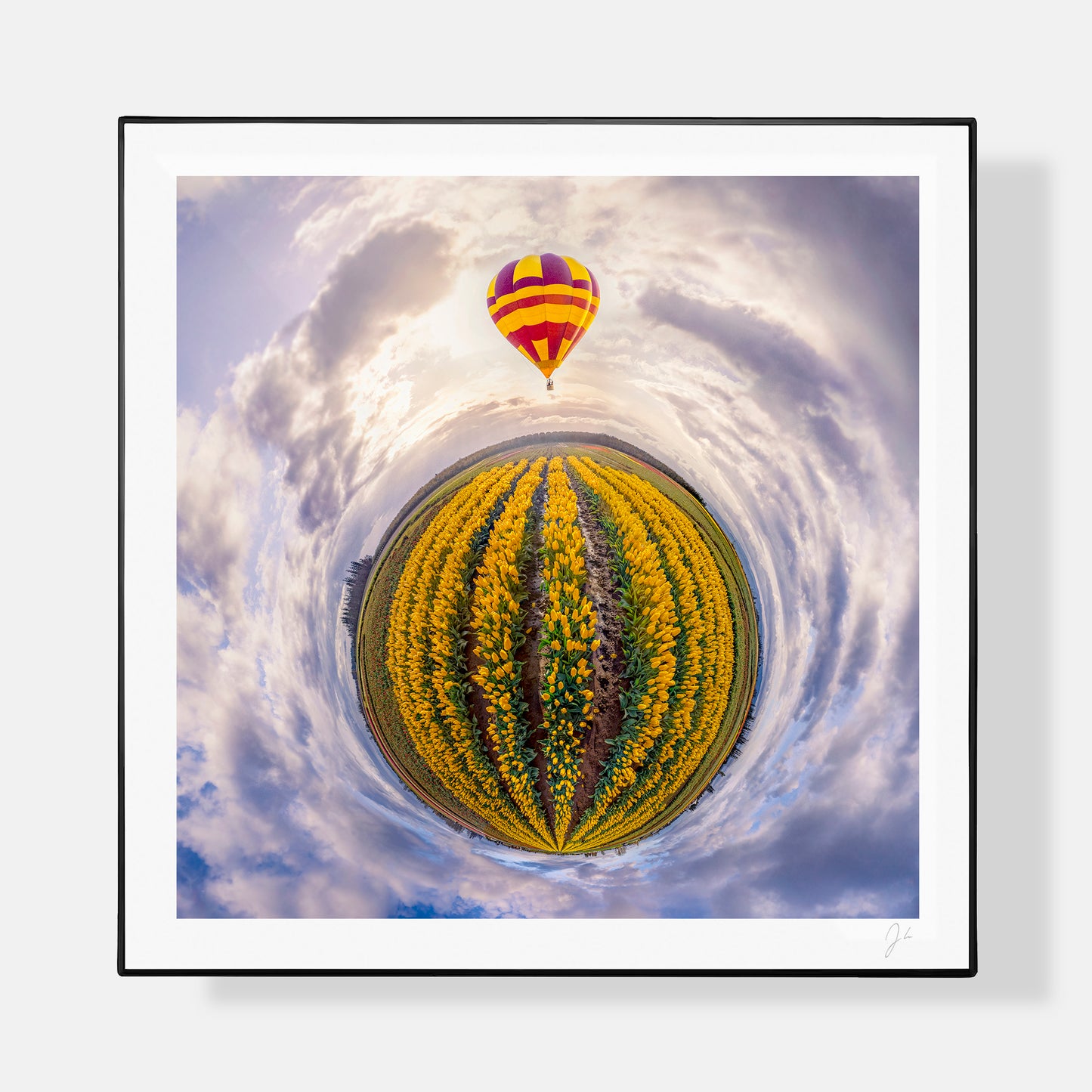 Wooden Shoe Tulip Festival (2023) - Signed Print