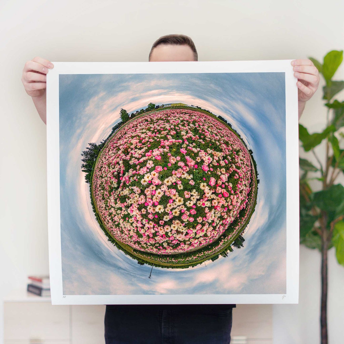 Adelman Peony Gardens (2024) - Signed & Numbered Museum Grade Print
