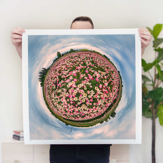 Adelman Peony Gardens (2024) - Signed & Numbered Museum Grade Print