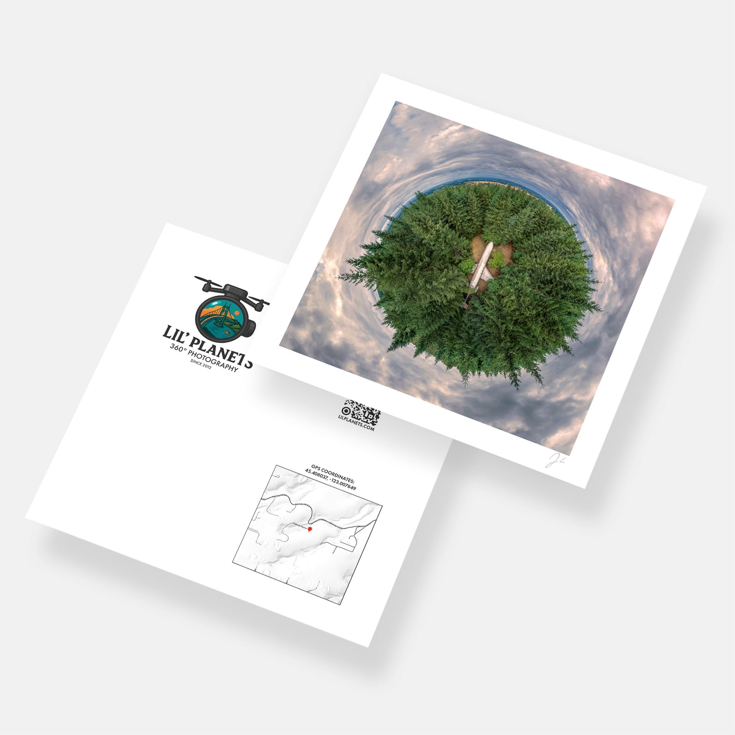 Airplane Home (2023) - Signed Print
