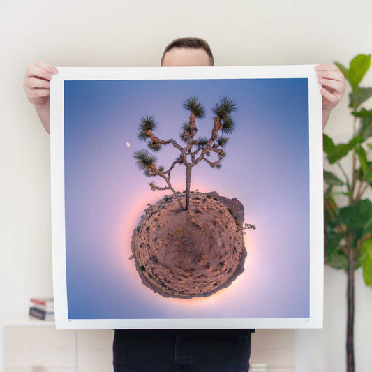 Joshua Tree (2016) - Signed & Numbered Museum Grade Print