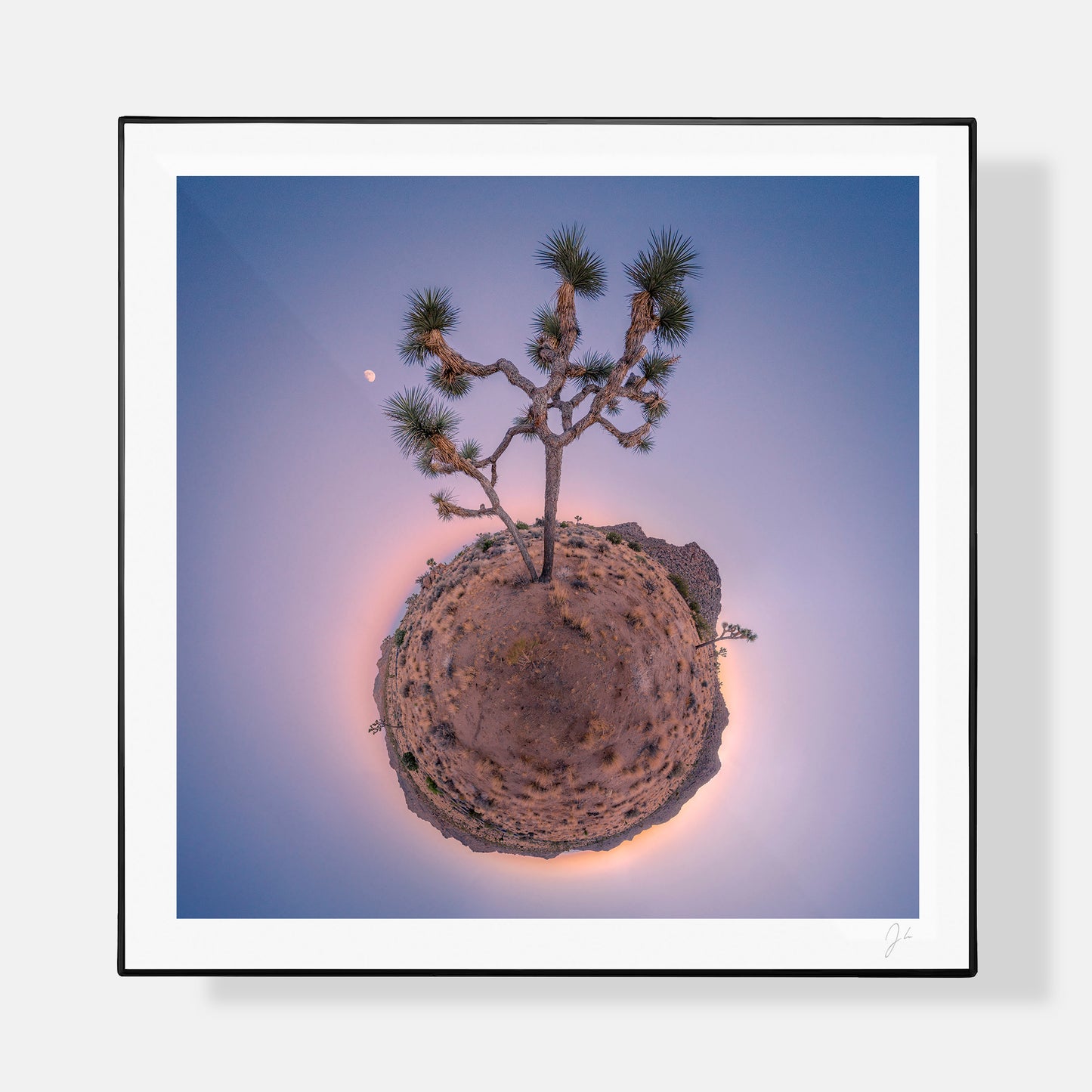 Joshua Tree (2016) - Signed Print