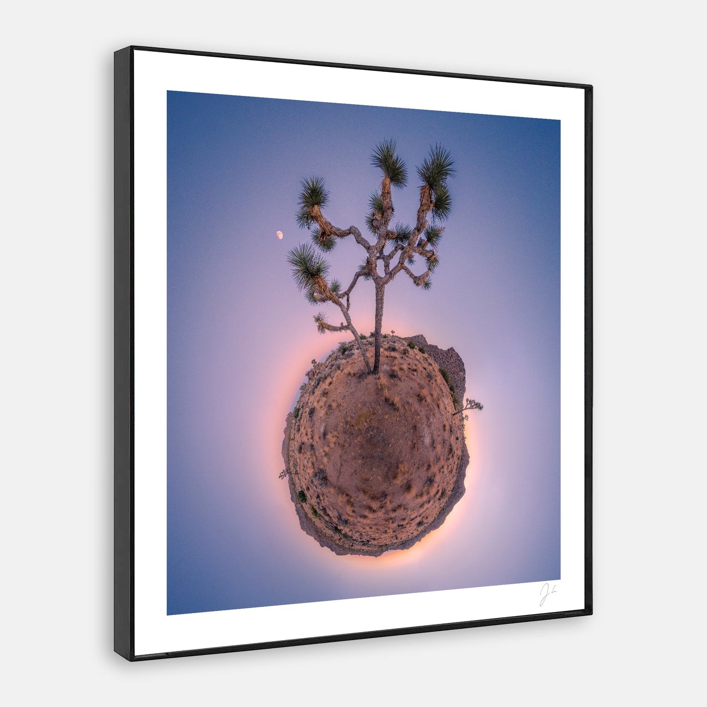 Joshua Tree (2016) - Signed Print
