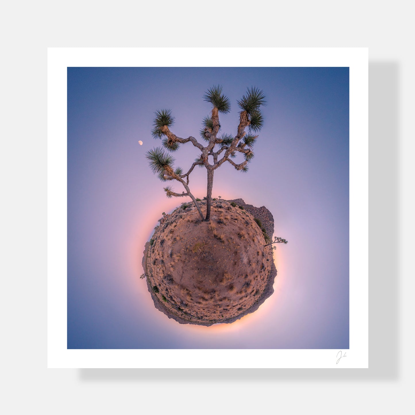 Joshua Tree (2016) - Signed Print