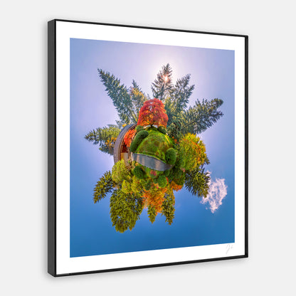 Portland Japanese Garden (2022) - Signed Print