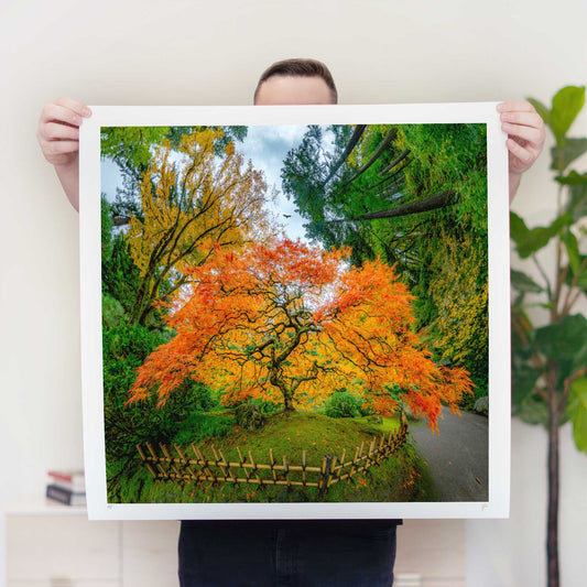 Portland Japanese Garden (2023) - Signed & Numbered Museum Grade Print