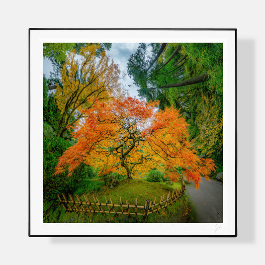 Portland Japanese Garden (2023) - Signed Print