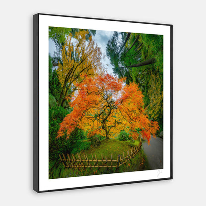 Portland Japanese Garden (2023) - Signed Print