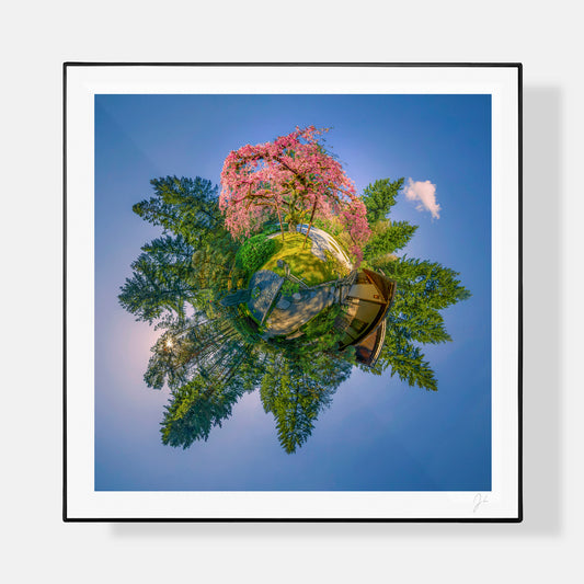 Portland Japanese Garden (2024) - Signed Print