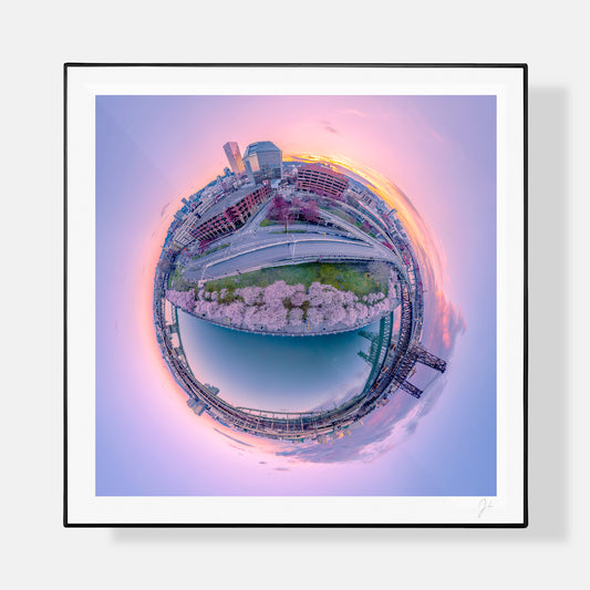 Tom McCall Waterfront Bloom (2023) - Signed Print