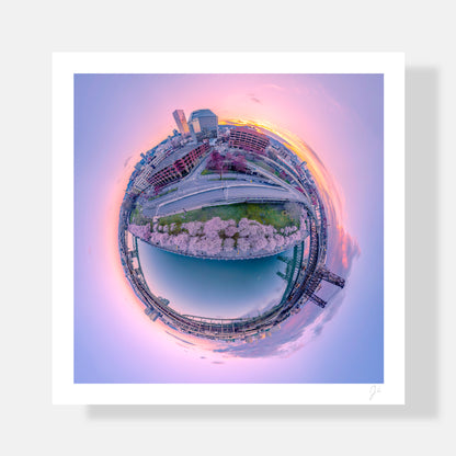 Tom McCall Waterfront Bloom (2023) - Signed Print