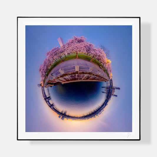 Tom McCall Waterfront Bloom (2024) - Signed Print