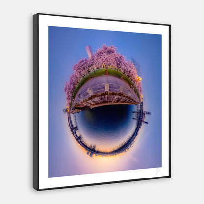Tom McCall Waterfront Bloom (2024) - Signed Print