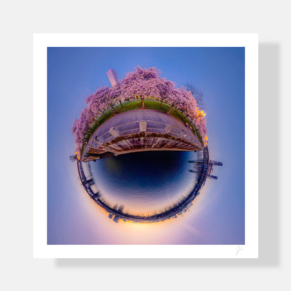 Tom McCall Waterfront Bloom (2024) - Signed Print