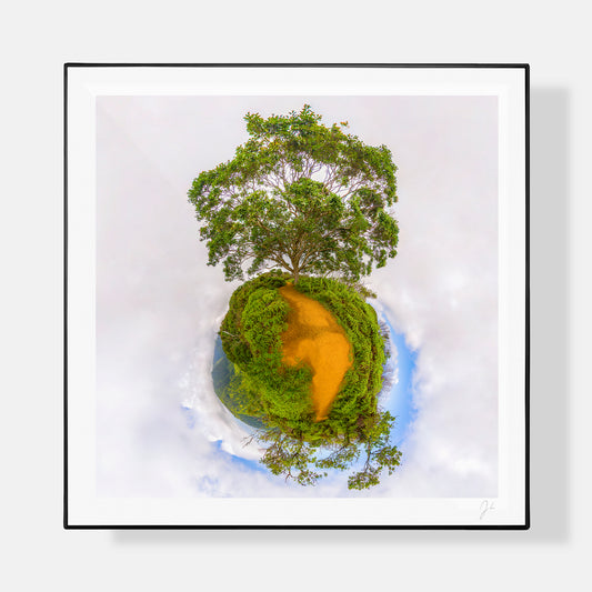 Waihe'e Ridge Trail (2016)
 - Signed Print