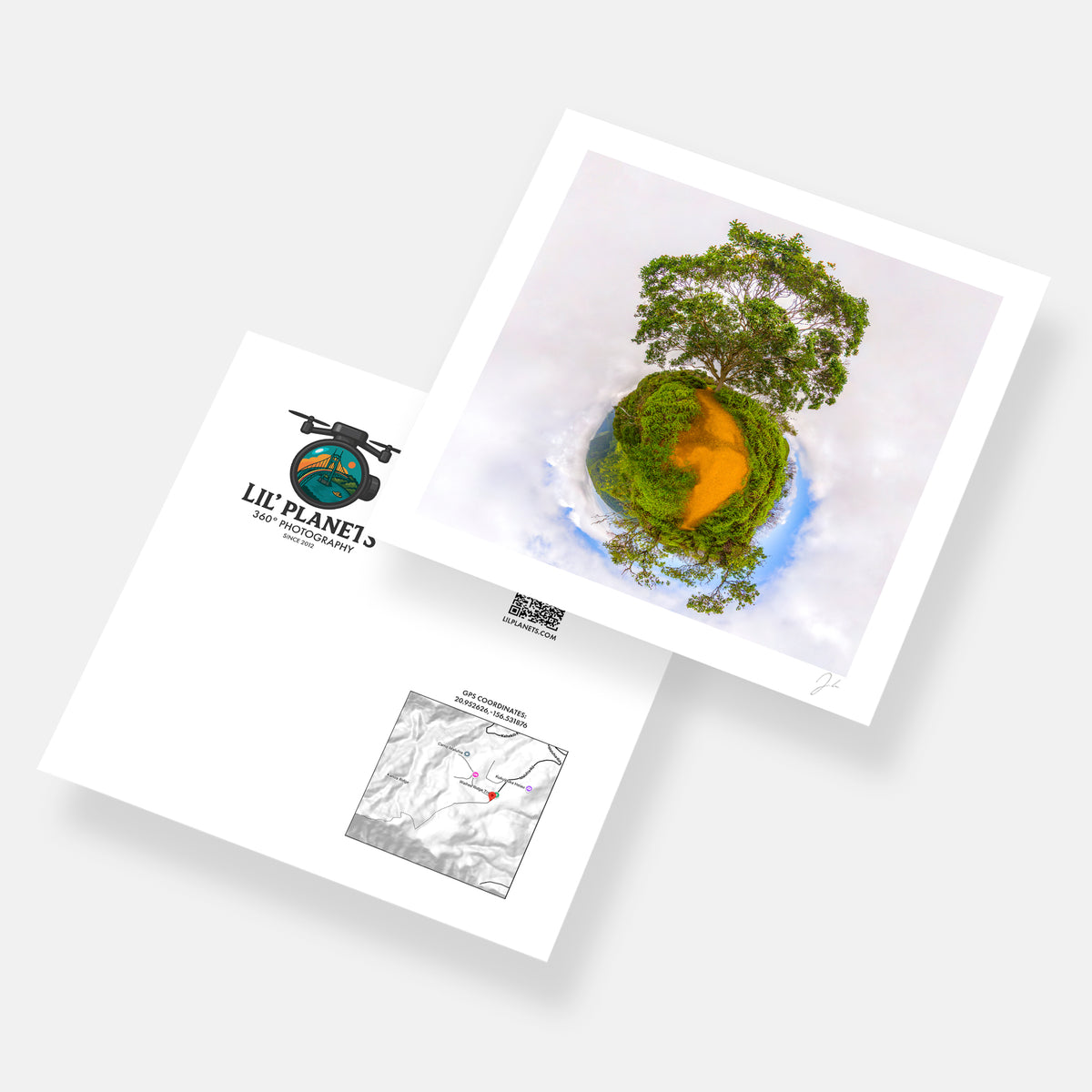 Waihe'e Ridge Trail (2016)
 - Signed Print