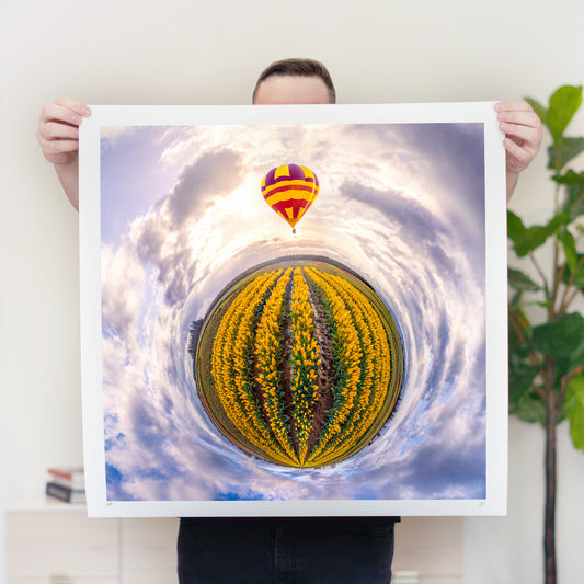 Wooden Shoe Tulip Festival (2023) - Signed & Numbered Museum Grade Print