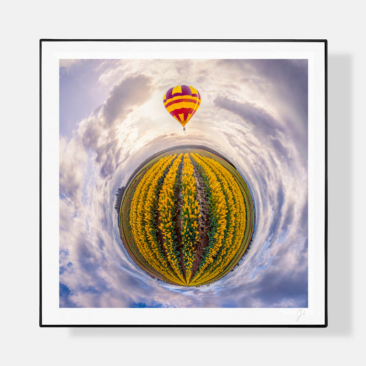 Wooden Shoe Tulip Festival (2023) - Signed Print