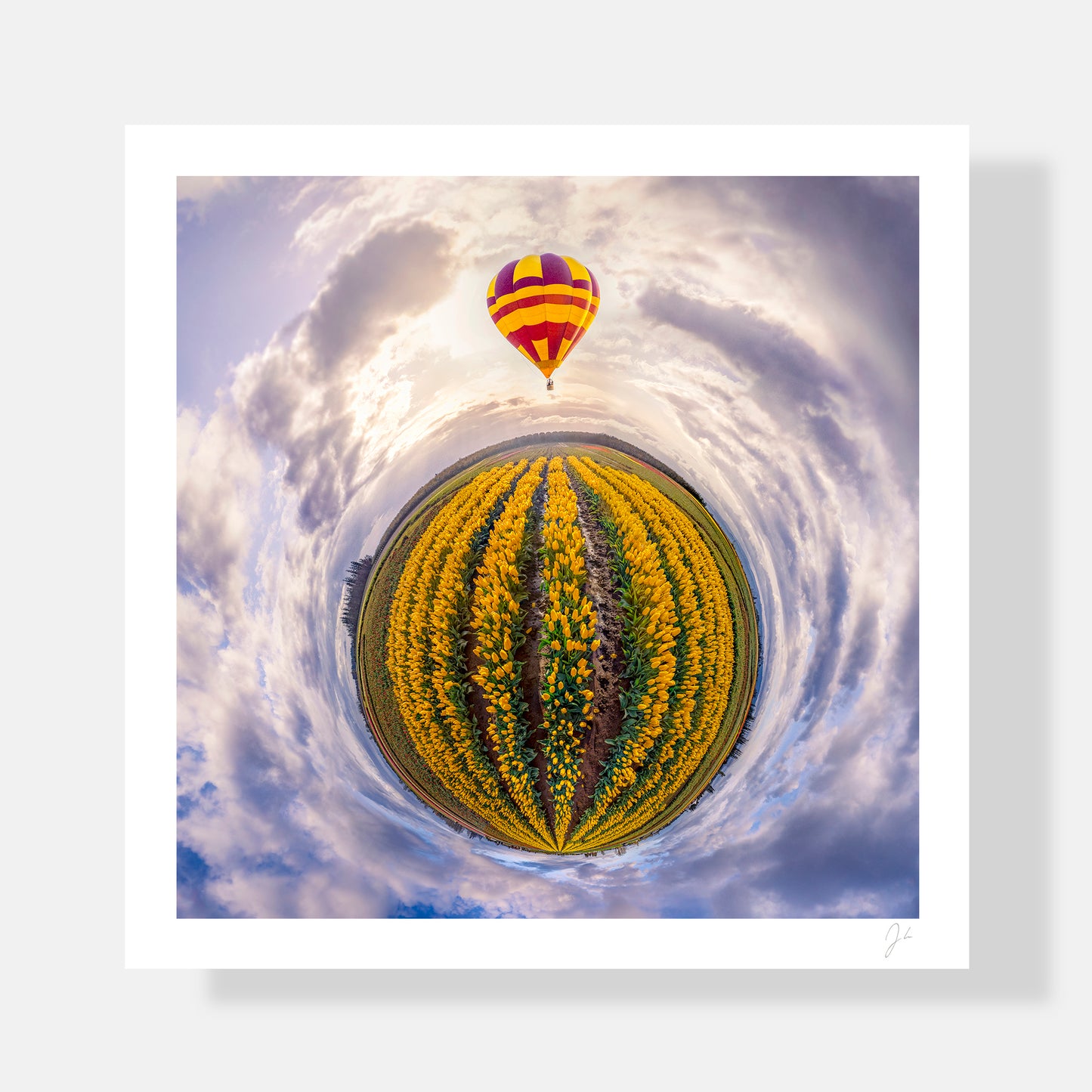 Wooden Shoe Tulip Festival (2023) - Signed Print