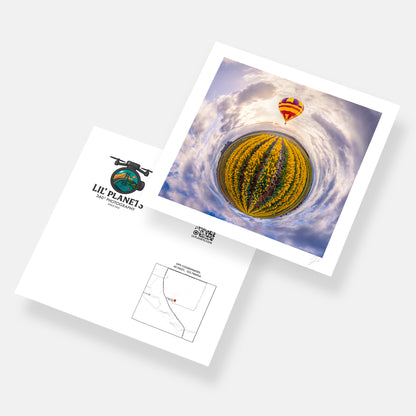Wooden Shoe Tulip Festival (2023) - Signed Print