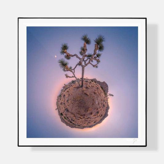 Lil' Planets 8x8" (Small) / + Black Signature Frame w/ Real Glass Joshua Tree (2016) - Signed Archival Print