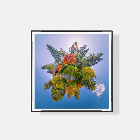 Lil' Planets Portland Japanese Garden (2022) - Magnetic Mini Framed Signed Print