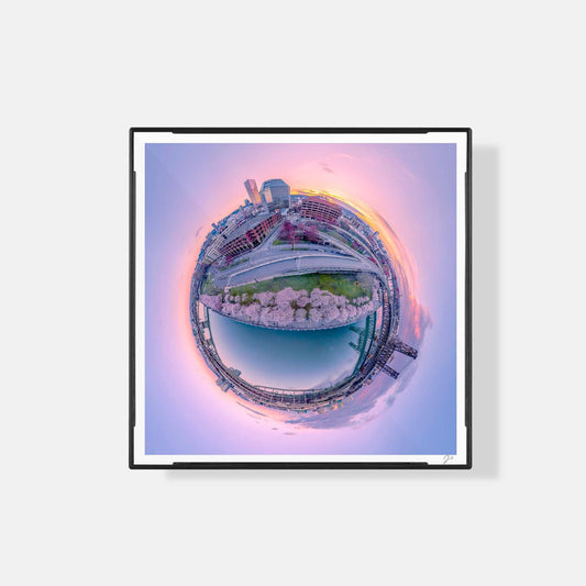 Lil' Planets Tom McCall Waterfront Bloom (2023) - Magnetic Mini Framed Signed Print