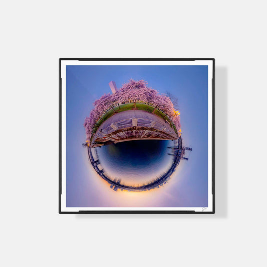 Lil' Planets Tom McCall Waterfront Bloom (2024) - Magnetic Mini Framed Signed Print