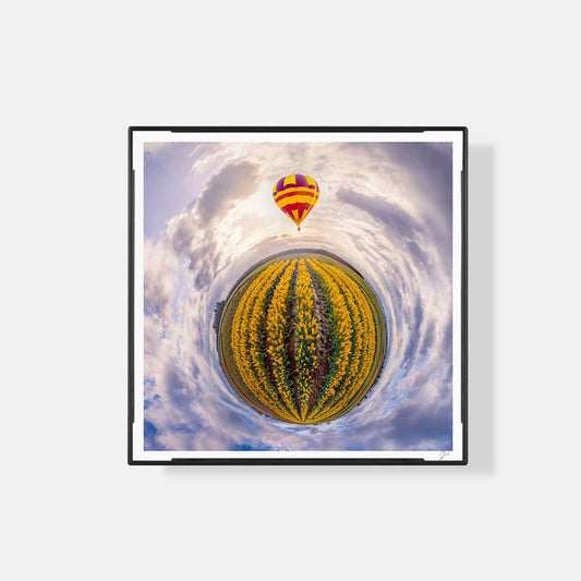 Lil' Planets Wooden Shoe Tulip Festival (2023) - Magnetic Mini Framed Signed Print